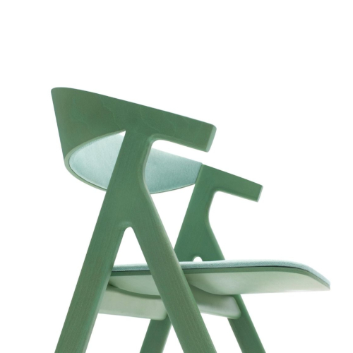 Apricus dining chair